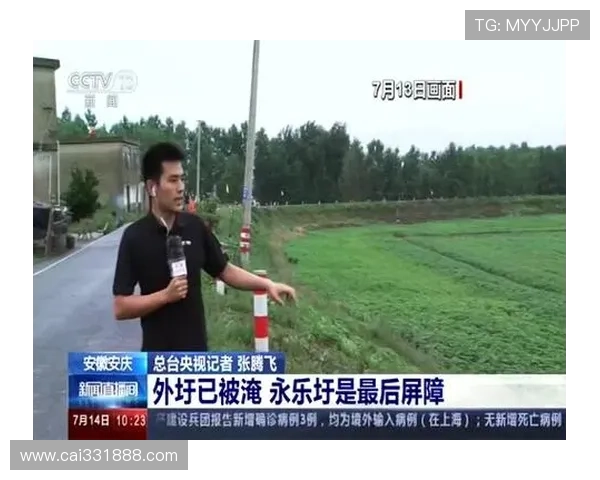 安庆直播新观察：探索皖江线上的数字活力